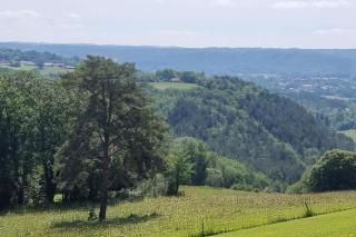 Gites Domaine de Sweendy - Le Bugue - 7