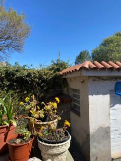 Casa Las Margaritas - 6