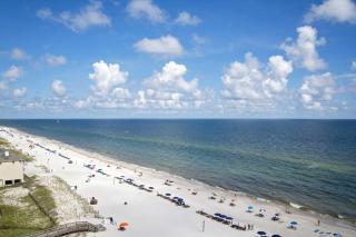 Crystal Shores West 505 - Gulf Shores - 8