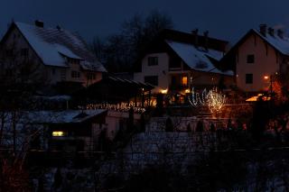 Pension Stejeris - 1