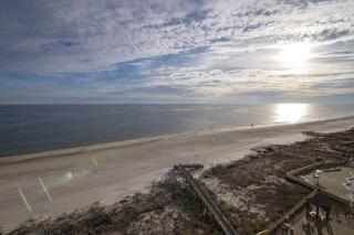 Phoenix III 3097 - Orange Beach - 4