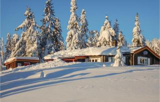 Three-Bedroom Holiday Home In Sjusjoen - 9