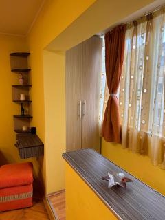 AA Studio near Iulius Mall Timisoara - Timişoara - 5