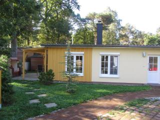 Kiefernidyll - Zinnowitz - 6