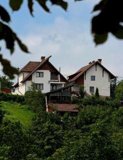 Pension Stejeris - Brasov - 3