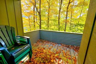 Loon Mountain Nest - Lincoln - 9