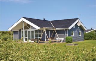 Holiday Home Tyttebærvej Tarm Xii - 0