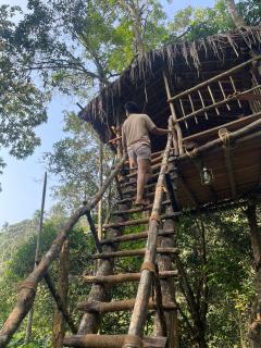 The Hive at Druv Dakshin Farm Resort - Padinjarathara - 1