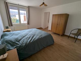 Appartement spacieux 2 chambres 100m2 centre petite ville - - 8