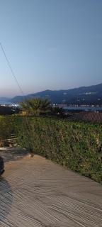 Nikoleta's Studios - Argostóli - 3