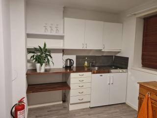 Nydelig hybelleilighet nært sentrum - 8