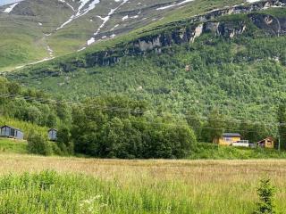 Arctic Aurora View - 5