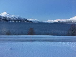 Arctic Aurora View - 3