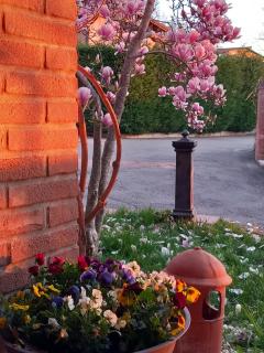 Azienda agrituristica La Borgaccia - 3