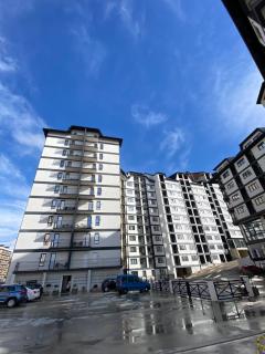 Lux Apartman Milic Zlatibor - Zlatibor - 4