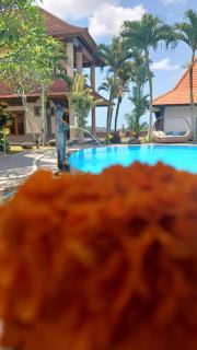 Ariana suite - Ubud - 9