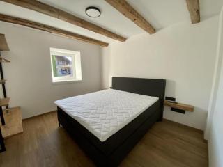 Appartement Gams-Bartl in Saalfelden - Saalfelden am Steinernen Meer - 2