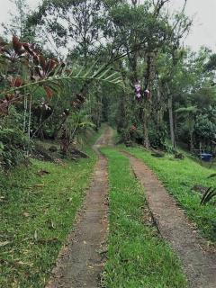 Cantinho do Bem - Lindo Chalé com piscina exclusiva e vista pra Serra do Mar! - Morretes - 7