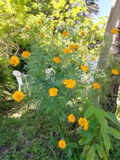 VN45 Villa in Ahangama - 5