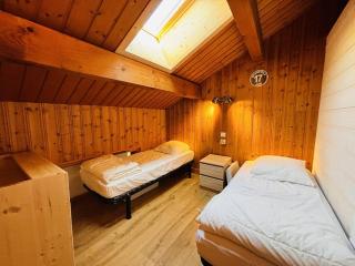 Triplex 6 pers, proche pistes, balcon, animaux admis - FR-1-757-132 - 3