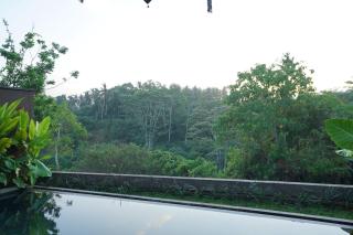 The Shanti Graha Villas - Ubud - 2