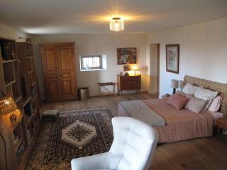Charmante maison d'hôtes avec salle de sport et repas maison - FR-1-582-507 - Saint-Bérain - 2