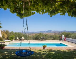 Finca Olivo Llorón - Montilla - 9