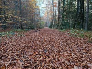 House Apartma Čebela with jacuzzi - 9