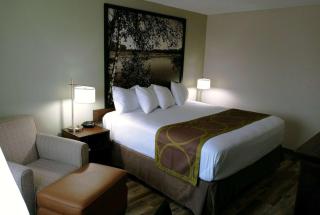 Super 8 by Wyndham Alexandria MN - Alexandria - 0