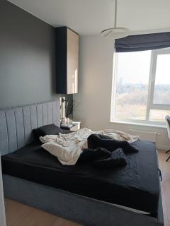 Pasichna Apartment - 4