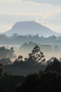The Quails Nest Cottage - Whakamarama - 0