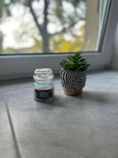 Ferien- Monteurwohnung in Förderstedt, Staßfurt - 3