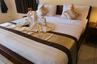 New Starlight Hotel Lovina - 8