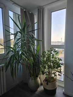 RiverView apartment - Osijek - 7