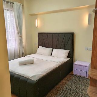 Enzi heights luxurious 2 bedroom furnished and serviced apartment with a pool,gym and playground - Nairobi - 7