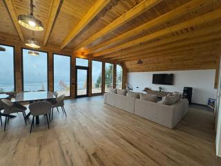 A-Frame Belvedere Colibița - 2