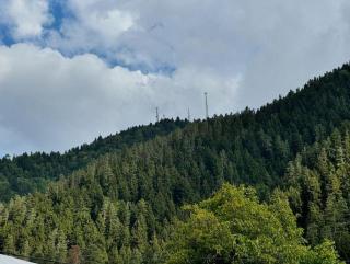 cottage - Borjomi - 5