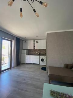 cottage - Borjomi - 4