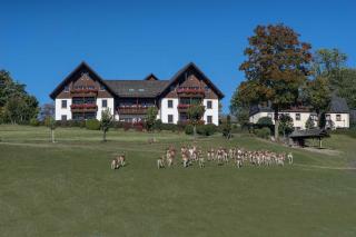 Ferienappartements Rausch - Presseck - 0
