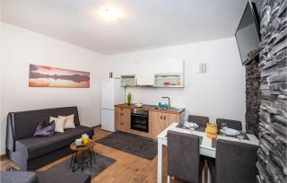 1 Bedroom Amazing Home In Zelengrad - Zelengrad - 7