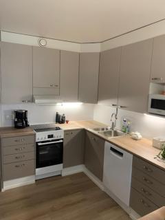 PUNAHILKKA & Susihukka Apartments with sauna - Rovaniemi - 6