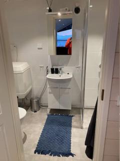 Northern Light Cottage - 8