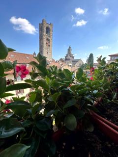 Il Giardino Nel Cuore - Bergamo - 9