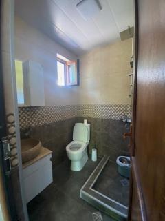 cottage - Borjomi - 9