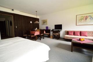 Ferienwohnungen Chesa Clois 24 Studios - Lenzerheide - 8