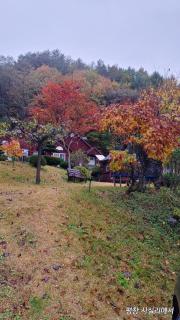 Sisilli Pension - Pyeongchang - 9