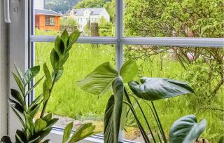 Nice Apartment In Bad Schandau- Kleing, - Kleingießhübel - 5