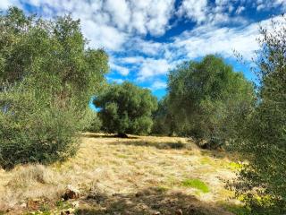 Agriturismo Lillastro - 6