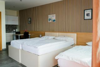 Nava Motel SELF CHECK-IN - Wiener Neustadt - 6