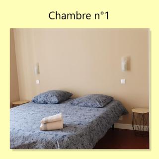 Grand appartement Provençal, T7 avec jardin et garage - Digne-les-Bains - 2